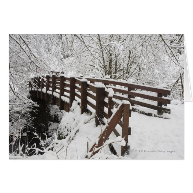 Sneeuwbedekking Woodenbrug (Voorkant Horizontaal)