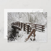 Sneeuwbedekking Woodenbrug Briefkaart (Voorkant / Achterkant)