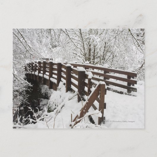 Sneeuwbedekking Woodenbrug Briefkaart (Voorkant)