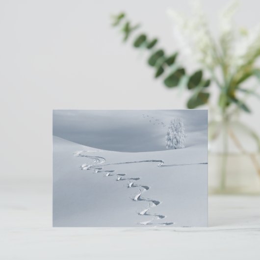 Sneeuwbedekt landschap met skipsporen briefkaart (Staand voorkant)