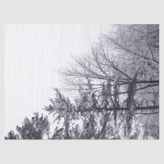 Sneeuwbedekte Bomen Weefselpapier Tissuepapier (Voorkant)