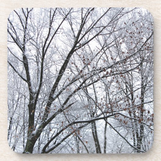 Sneeuwbedekte eikenboom onderzetter (Voorkant)