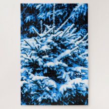 Sneeuwbedekte jonge sparrenboom