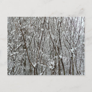 Sneeuwbedekte takken winter Abstract Briefkaart