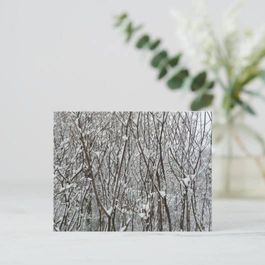 Sneeuwbedekte takken winter Abstract Briefkaart (Staand voorkant)
