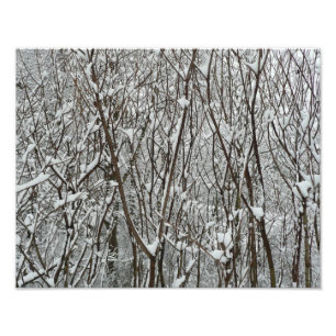 Sneeuwbedekte takken winter Abstract Foto Afdruk