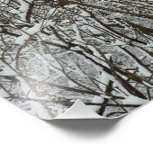 Sneeuwbedekte takken winter Abstract Foto Afdruk (Hoek)