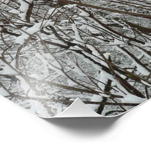 Sneeuwbedekte takken winter Abstract Foto Afdruk (Hoek)