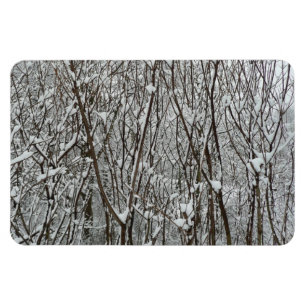 Sneeuwbedekte takken winter Abstract Magneet
