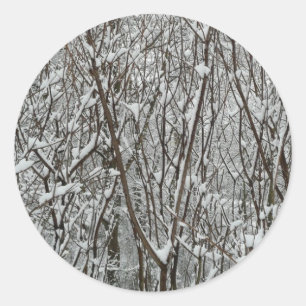 Sneeuwbedekte takken winter Abstract Ronde Sticker
