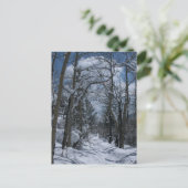 Sneeuwbedekte weg door de Rocky Mountains Briefkaart (Staand voorkant)