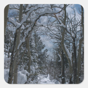 Sneeuwbedekte weg door de Rocky Mountains Vierkante Sticker
