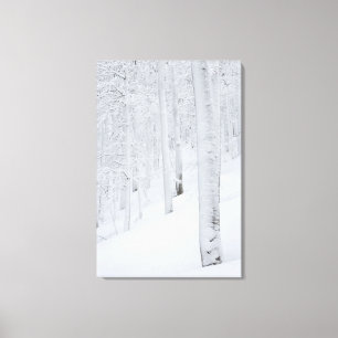 Sneeuwbedekte winterwonderland canvas afdruk