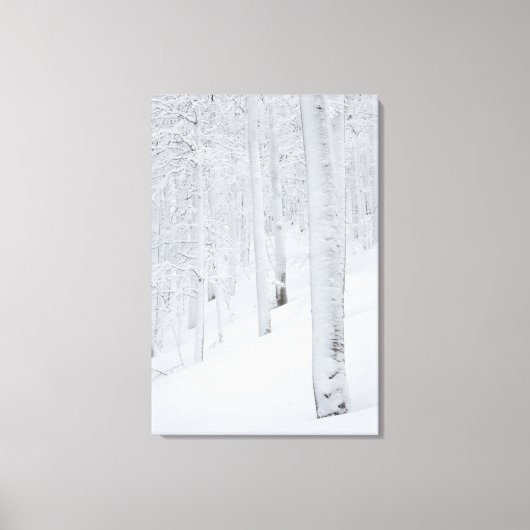 Sneeuwbedekte winterwonderland canvas afdruk (Voorkant)