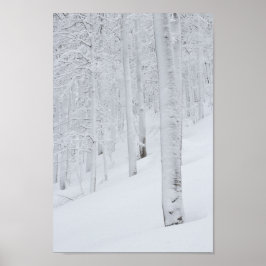 Sneeuwbedekte winterwonderland poster