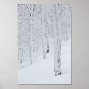 Sneeuwbedekte winterwonderland poster