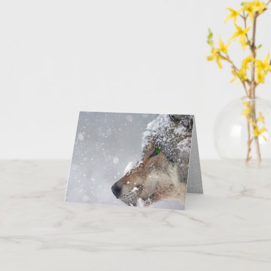 Sneeuwbedekte Wolf Face Close in Falling Snow Kaart (Gele Bloem)