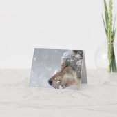 Sneeuwbedekte Wolf Face Close in Falling Snow Kaart (Voorkant)