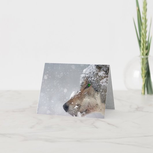 Sneeuwbedekte Wolf Face Close in Falling Snow Kaart (Voorkant)