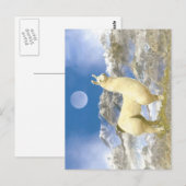 sneeuwBeer Briefkaart (Voorkant / Achterkant)