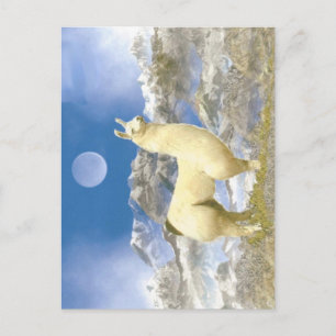 sneeuwBeer Briefkaart