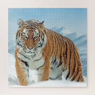 Sneeuwbergen Animal Winter Tiger Foto Legpuzzel