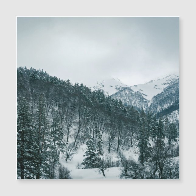 Sneeuwbergen in Georgië (Voorkant)