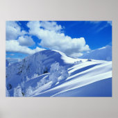 Sneeuwbergtopster Poster (Voorkant)