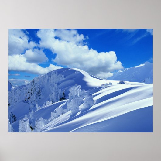 Sneeuwbergtopster Poster (Voorkant)