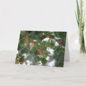 Sneeuwbessen Feestdagen Kaart (Achterkant)