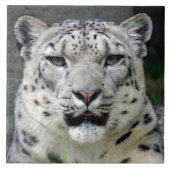 sneeuwblaasje10x10 tegeltje (Voorkant)