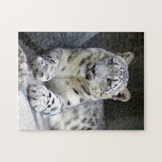 sneeuwblaasje 6 legpuzzel (Horizontaal)