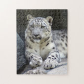 sneeuwblaasje 6 legpuzzel (Verticaal)