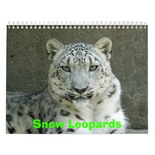 Sneeuwblaaskalender, sneeuwluipaarden kalender (Hoes)