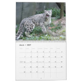 Sneeuwblaaskalender, sneeuwluipaarden kalender (Mar 2027)