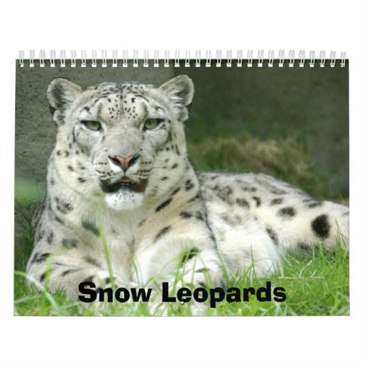 Sneeuwblaaskalender, sneeuwluipaarden kalender (Hoes)