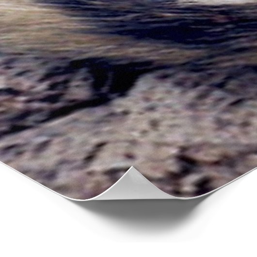 Sneeuwblaasportret Poster (Hoek)