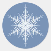 Sneeuwblauwe Sticker (Voorkant)