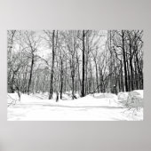 Sneeuwblind Poster (Voorkant)