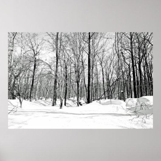 Sneeuwblind Poster (Voorkant)