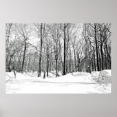 Sneeuwblind Poster (Voorkant)
