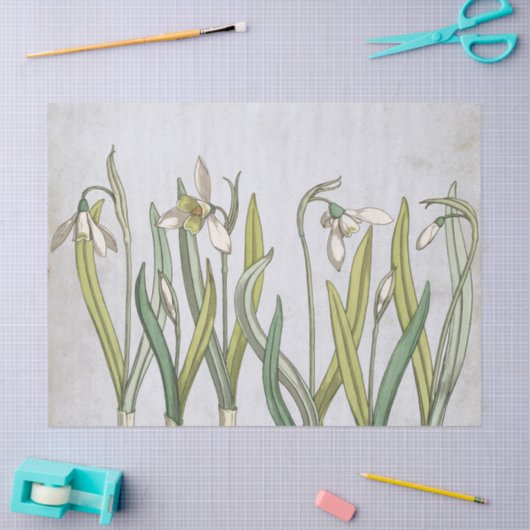  sneeuwbloem Blauwe Parchment Spring Tissuepapier (Craft)