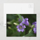 Sneeuwbloem Briefkaart (Voorkant / Achterkant)