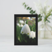 Sneeuwbloem Briefkaart (Staand voorkant)