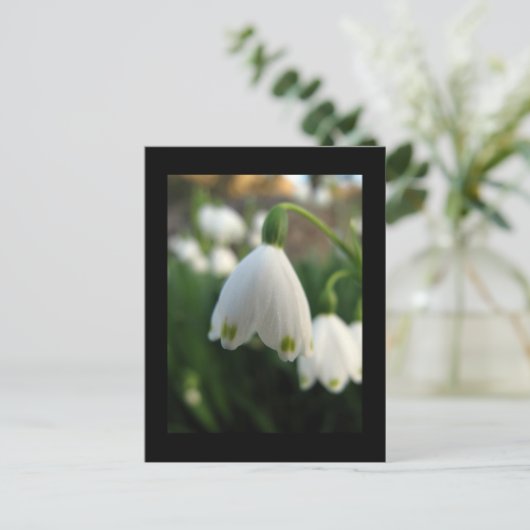 Sneeuwbloem Briefkaart (Staand voorkant)