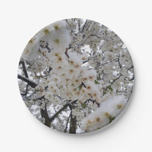 Sneeuwbloem Papieren Bord (Voorkant)