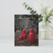 Sneeuwbloesem Moederdag Briefkaart (Staand voorkant)