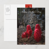 Sneeuwbloesem Moederdag Briefkaart (Voorkant / Achterkant)