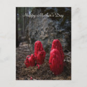 Sneeuwbloesem Moederdag Briefkaart (Voorkant)