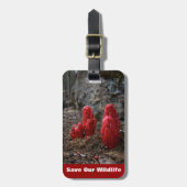 Sneeuwbloesems Bagagelabel (Voorkant verticaal)